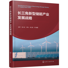 長三角新型儲能產(chǎn)業(yè)發(fā)展戰(zhàn)略