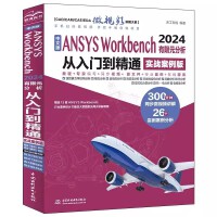 İANSYS Workbench 2024ԪT(mn)ͨ