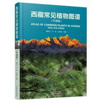 ���س�Ҋֲ��D�V