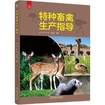  طNaָ ǭ ζ܊ l(wi)c