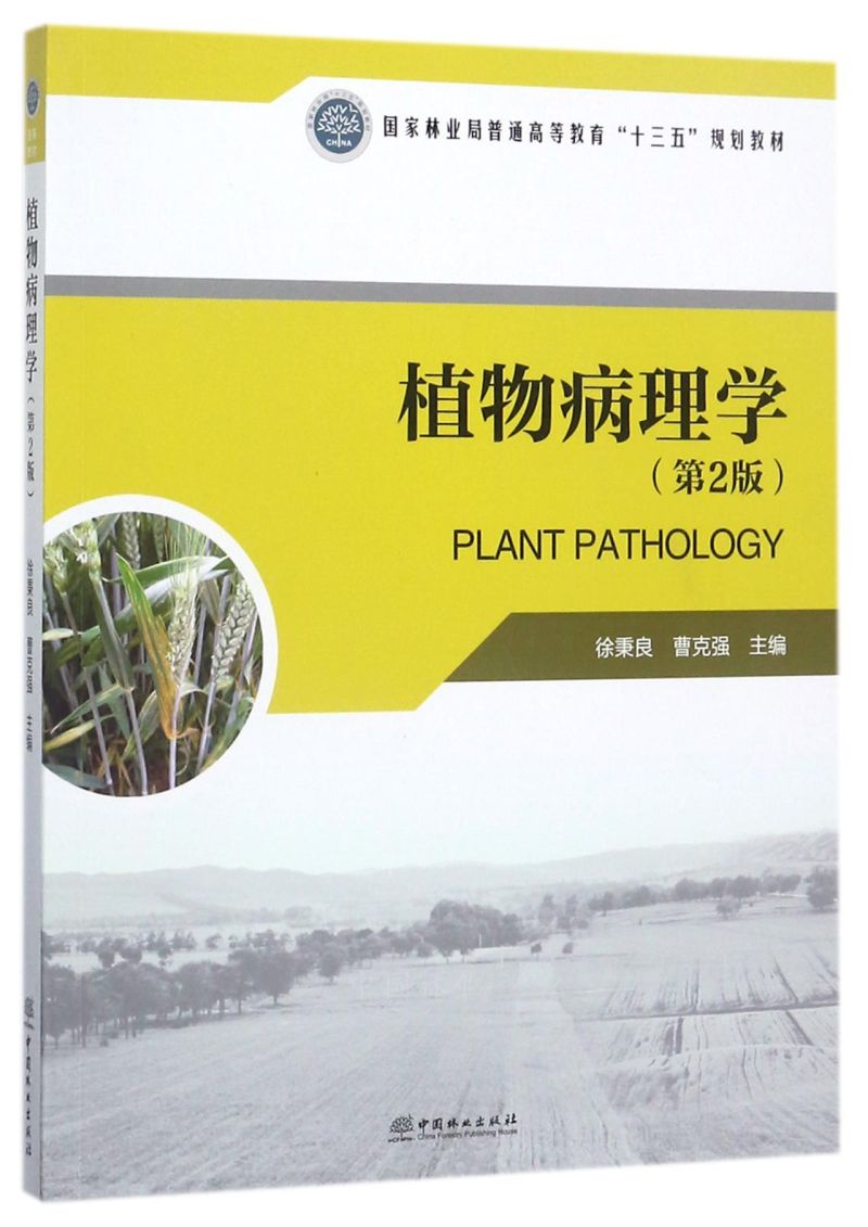 ֲﲡW2 P/֘I(y)ͨߵȽʮ塱Ҏ(gu)̲