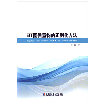  EIT圖像重構(gòu)的正則化方法