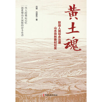  黃土魂：職田人民綜合治理山水田林路村紀實
