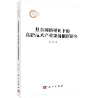 復(fù)雜網(wǎng)絡(luò)視角下的高新技術(shù)產(chǎn)業(yè)集群創(chuàng)新研究