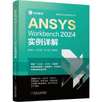 ANSYS Workbench 2024(sh)Ԕ