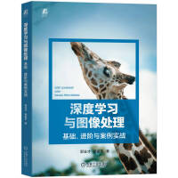  深度學(xué)習(xí)與圖像處理：基礎(chǔ)、進階與案例實戰(zhàn) 郭業(yè)才