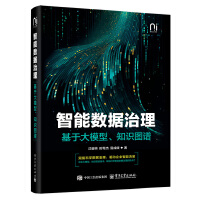 智能數(shù)據(jù)治理——基于大模型、知識圖譜