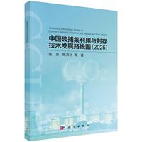 �Ї�̼���������c��漼�g(sh��)�l(f��)չ·���D��2025��