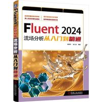 Fluent 2024�������������T����ͨ