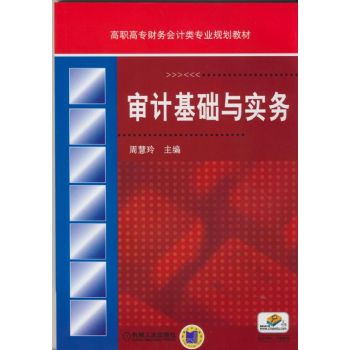 審計(jì)基礎(chǔ)與實(shí)務(wù) 