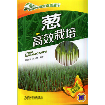 �[��Ч���� 