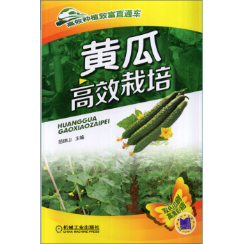 �S�ϸ�Ч���� 