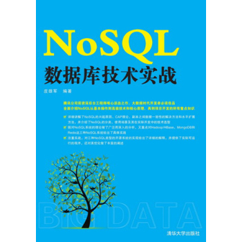NoSQL(sh)(j)켼g(sh)(zhn)