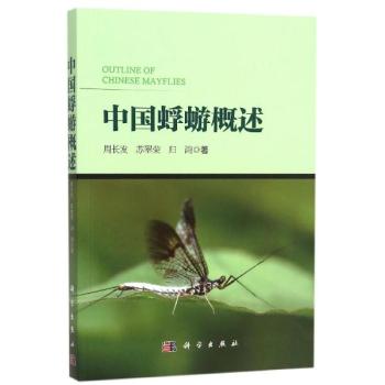 �Ї���������