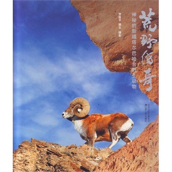 ��Ұ���棺���ص��½������͹��_Ұ����(d��ng)��