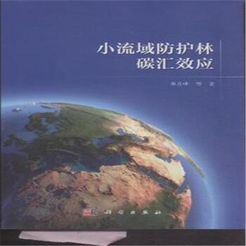 С������o��̼�RЧ��