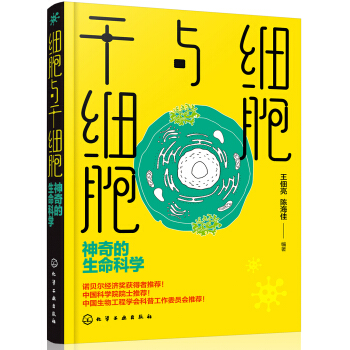 細(xì)胞與干細(xì)胞