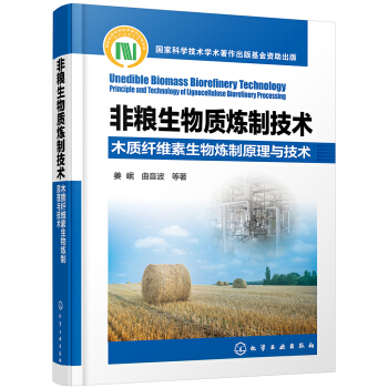 �ǼZ�����|(zh��)���Ƽ��g(sh��)����ľ�|(zh��)�w�S�������ԭ���c���g(sh��)