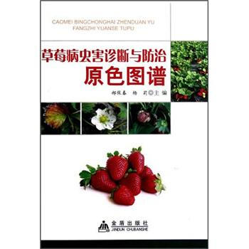 ��ݮ���x���\���c����ԭɫ�D�V