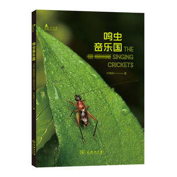 Qx(chng)(l)(gu)(Ȼ^셲(sh))