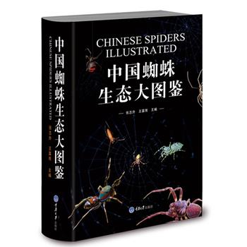  �Ї�(gu��)֩�����B(t��i)��D�b