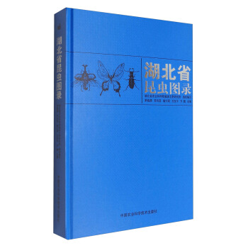 ����ʡ���x�D�