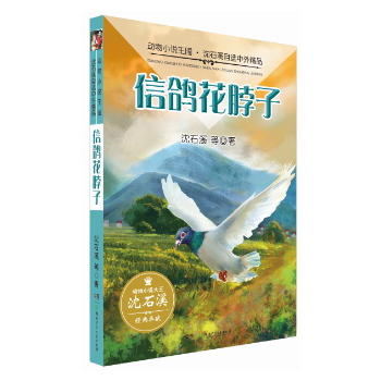 (dng)Сf(gu)ʯϪx⾫Ʒ