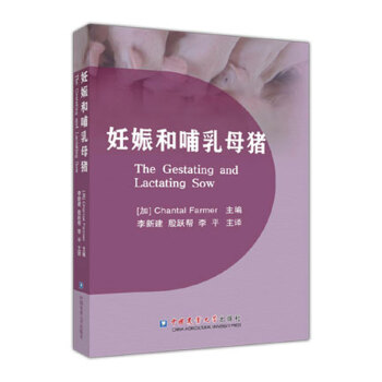 ����Ͳ���ĸ�i