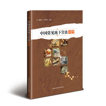 �Ї���Ҋ���º��x�D�b