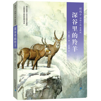 ��Fʮ����С�f �۲ر�05 ����������