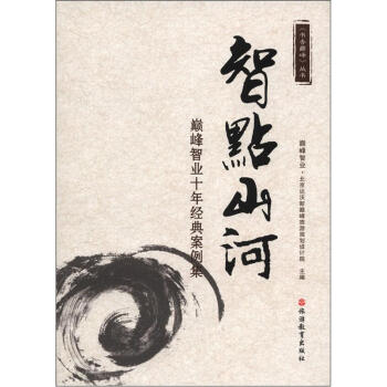 書香巔峰叢書·智點(diǎn)山河：巔峰智業(yè)十年經(jīng)典案例集