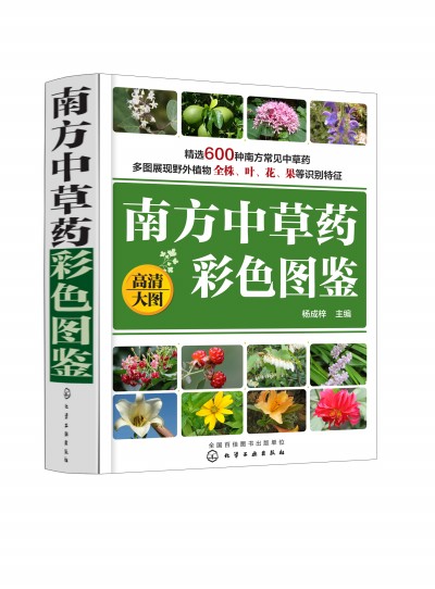 �Ϸ��в�ˎ��ɫ�D�b