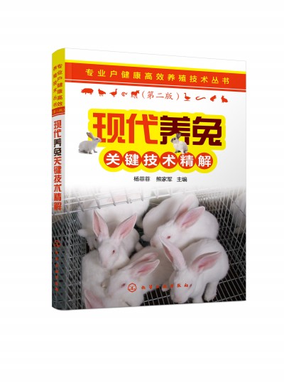 I(y)ЧB(yng)ֳg--F(xin)B(yng)PIg