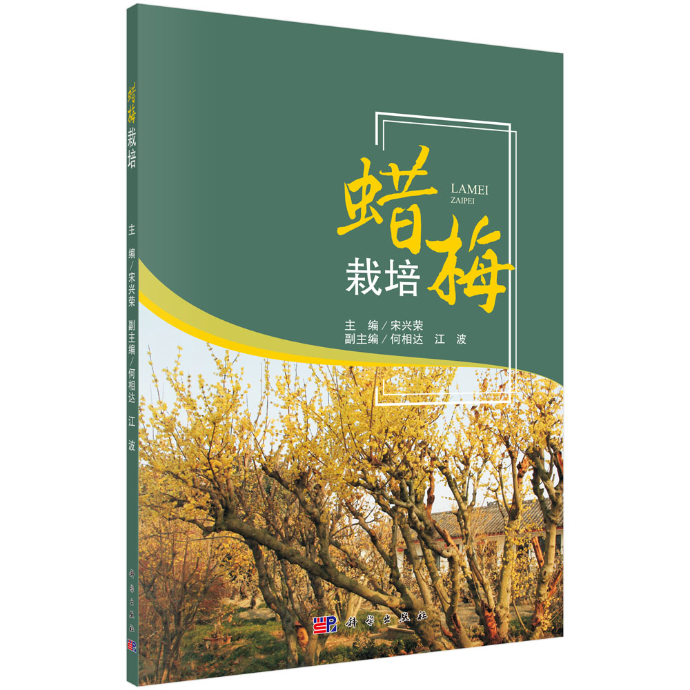 �D÷�����c�a�I(y��)�l(f��)չ