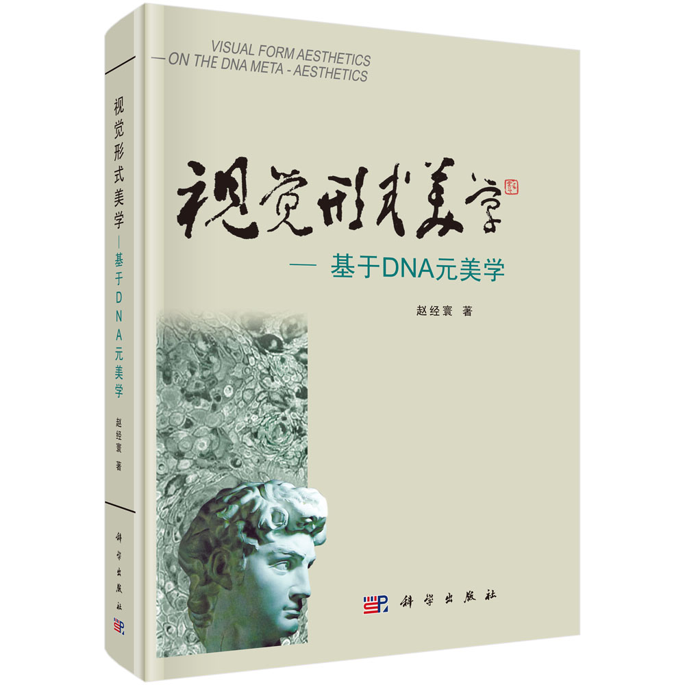 視覺形式美學(xué)-基于DNA元美學(xué)