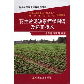 ������Ҋȱ�ذY��D�V���C�����g