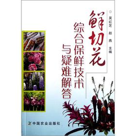 �r�л��C�ϱ��r���g�c���y���