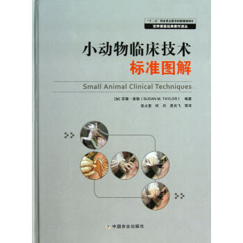 С��(d��ng)���R�����g(sh��)��(bi��o)��(zh��n)�D��