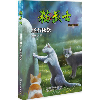 ؈��ʿ����������1��ʥʯ���