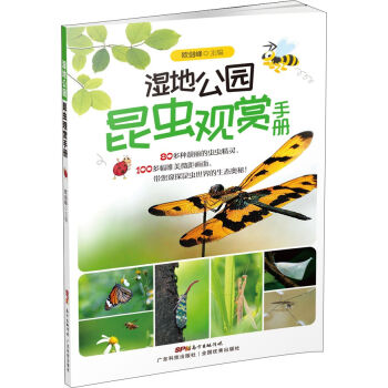 ��ع��@���x�^�p�փ�(c��)