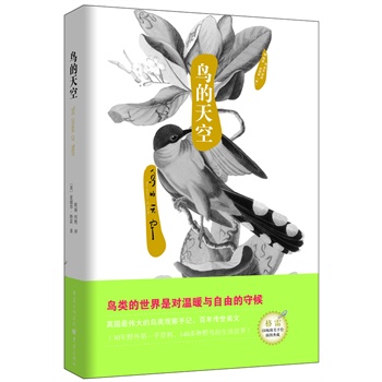 ȻϵУBգӢB^ӛģ