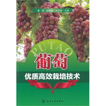 у(yu)|(zh)Ч༼g(sh)