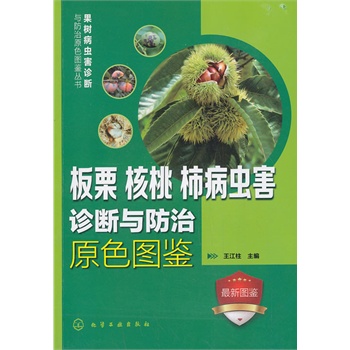 䲡x\cԭɫDb--ҡx\cԭɫDb