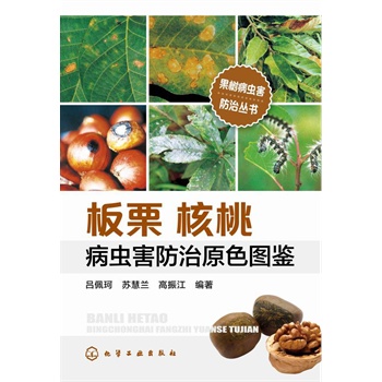 (sh)x(chng)΅(sh)--Ҳx(chng)ԭɫDb