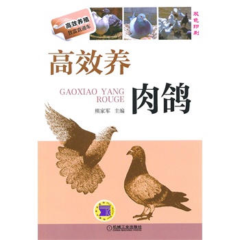 高效養(yǎng)肉鴿(高效養(yǎng)殖致富直通車)