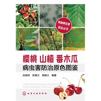 (sh)x(chng)΅(sh)--ɽ髷ľϲx(chng)ԭɫDb