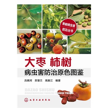 (sh)x(chng)΅(sh)--(sh)x(chng)ԭɫDb