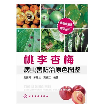 (sh)x(chng)΅(sh)--÷x(chng)ԭɫDb