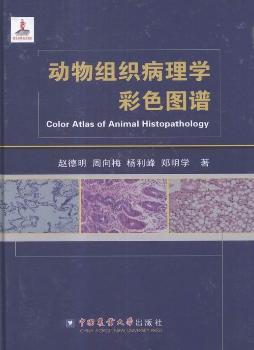 ��(d��ng)��M������W(xu��)��ɫ�D�V