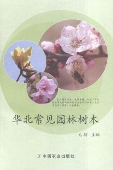 �A����Ҋ(ji��n)�@�֘�(sh��)ľ